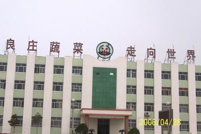 山东省泰安市良庄蔬菜批发市场
