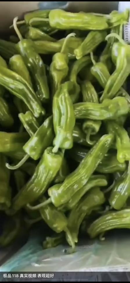 新优
